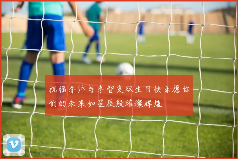祝福李帅与李智良双生日快乐愿你们的未来如星辰般璀璨辉煌